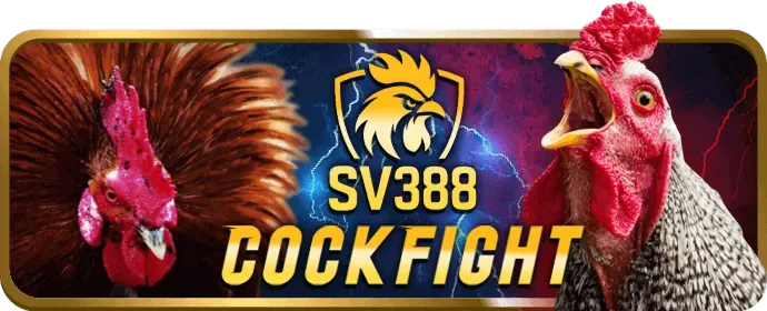 Các trò chơi bài truyền thống tại av88 bet
